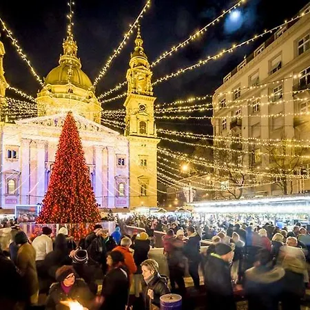 Penthouse Three Bedrooms, Three Balconies With Free Parking In Kiraly Street Apartament Budapeszt